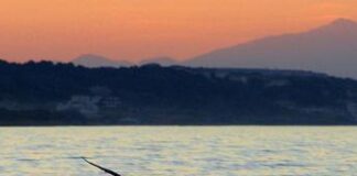 Stop al caldo africano, anche oggi e domani nessuna città da bollino rosso