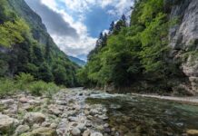 Masolo (EV): “Vanoi come il Titanic. E il Veneto non ne ha bisogno” diga del Vanoi, ancora un incontro a sostegno del no