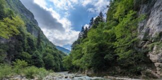 Masolo (EV): “Vanoi come il Titanic. E il Veneto non ne ha bisogno” diga del Vanoi, ancora un incontro a sostegno del no