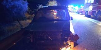 Travolge gregge, scende e viene ucciso da un’auto pirata a Nuoro