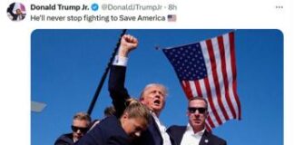 Trump, pugno alzato, sangue sul volto e bandiera: la foto simbolo