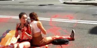 Ultima Generazione a rischio chiusura: “Ci tagliano i fondi”