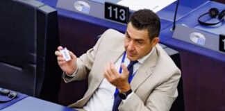 Vannacci resta vicepresidente dei Patrioti a Strasburgo