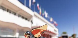 Venezia 81, oggi due film in concorso alla Mostra del Cinema: l’attesa è per Nicole Kidman Venezia 81, terzo giorno di mostra