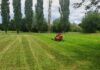 Verde Urbano, Civici per Vicenza: “Bene fin qui, ma ora bisogna accelerare”. Presentata mozione Vicenza Parco del Retrone sfalcio verde Amcps vicenza urbano