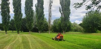 Sfalcio del verde a Vicenza, Amcps anticipa le operazioni: “Costretti da piogge abbondanti” Vicenza Parco del Retrone sfalcio verde Amcps vicenza
