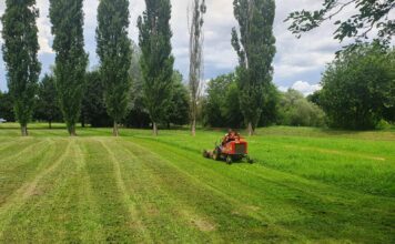 Verde Urbano, Civici per Vicenza: “Bene fin qui, ma ora bisogna accelerare”. Presentata mozione Vicenza Parco del Retrone sfalcio verde Amcps vicenza urbano