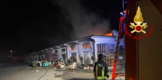 Vigili del fuoco a Bassano del Grappa: incendio devasta due box nel mercato ortofrutticolo, non ci sono feriti ma danni ingenti Vigili del fuoco intervengono per incendio nel Mercato ortofrutticolo di Bassano