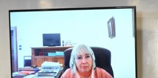 Welfare, Zanella (Avs): “Per famiglie aumenta spesa sanitaria e per assistenza familiari”