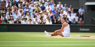 Wimbledon, i numeri di Paolini dopo la finale: premi e ranking, cosa cambia