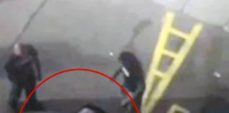 Aggressione Joly, Prc-Se: “Gravi dichiarazioni di Casa Pound, gruppo fascista da sciogliere” aggressione joly