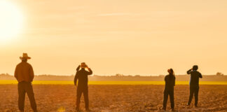 Contratto Agricolo in provincia di Vicenza: sindacati contro lo stallo Contratto Agricolo Vicenza
