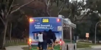 Bus surfing a Vicenza: giovane appeso a bus di Svt per qualche centinaio di metri. L’azienda stigmatizza la sfida social bus surfing vicenza