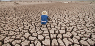 Fondazione Cariverona, natura e nuove tecnologie per combattere la crisi climatica fondazione cariverona