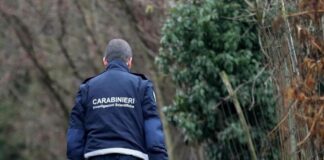 Treviso, donna trovata sgozzata in casolare: era scomparsa da un giorno donna morta treviso
