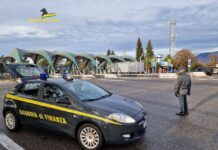 Stagione estiva: il bilancio dei controlli della Guardia di Finanza nel Vicentino sequestro droga vicentino stagione estiva