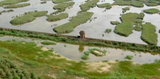 Carabinieri Forestali a cavallo nelle aree naturalistiche venete. Zaia: “Giusto presidiare territori unici” Zaia, sì ai carabinieri forestali a Cavallo nelle aree naturalistiche venete