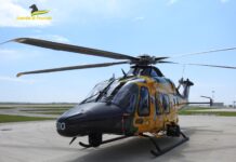 GDF ROAN di Venezia: sequestrata una piantagione di “cannabis indica” lungo l’argine del Po  Guardia di Finanza sequestra 20 piante di marijuana