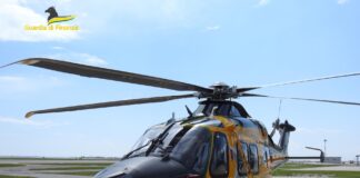 GDF ROAN di Venezia: sequestrata una piantagione di “cannabis indica” lungo l’argine del Po Guardia di Finanza sequestra 20 piante di marijuana