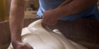 A Napoli il primo congresso internazionale sulla mozzarella di bufala