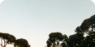 Denunciati dalla Polizia di Stato per porto abusivo di armi in occasione dell’AMA Music Festival di Romano d’Ezzelino Ama Music Festival