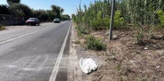 Bimba morta a Giugliano, viaggiavano in 4 su una Smart: denunciata anche la madre