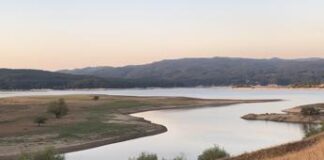 Calabria, Grillo (Turismo Verde-Cia): “Aria fresca e boschi, sempre più viaggiatori scelgono la Sila”