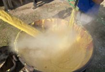 Camposilvano di Vallarsa: estate di arte, cultura, tradizione e convivialità Camposilvano di Vallarsa estate