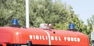 Cavalli spaventati precipitano in un dirupo, 18 morti