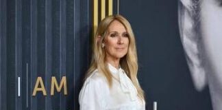 Celine Dion annuncia il ritorno sul palco, 10 concerti a Parigi