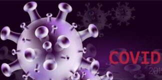 Covid 2024, cosa c’è di nuovo su XEC la variante che dominerà in inverno