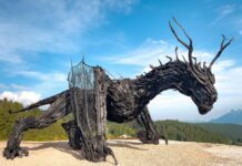 Drago di Vaia, carabinieri individuano il piromane dell’opera del vicentino Marco Martalar Drago di Vaia