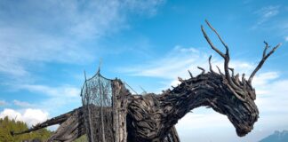 Drago di Vaia, carabinieri individuano il piromane dell’opera del vicentino Marco Martalar Drago di Vaia