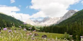 Enogastronomia, la Strada del vino e dei sapori del Trentino forma ambasciatori di eccellenze