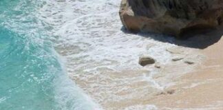 Ferragosto, Guarini (Fisascat): “Ammortizzatore sociale speciale per lavoro stagionale”