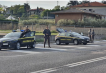 GdF Vicenza: spaccio di stupefacenti all’AMA Music Festival, sequestrati 160 grammi di sostanze con 85 contestazioni al Prefetto GdF Vicenza in azione