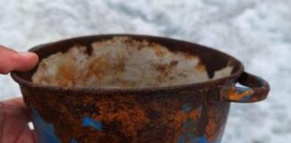 Ghiacciaio dei Forni, da metà luglio tasso elevato di fusione