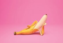 Gallerie d’Italia Intesa Sanpaolo Vicenza, domenica 1° settembre ingresso gratuito per “Illustrissimo” vicenza Gallerie d'Italia