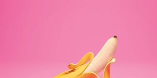 Gallerie d’Italia Intesa Sanpaolo Vicenza, domenica 1° settembre ingresso gratuito per “Illustrissimo” vicenza Gallerie d'Italia