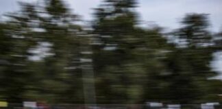 Gp Italia, Norris pole e prima fila McLaren: Ferrari insegue