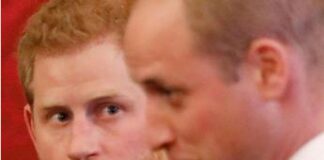 Harry e William di nuovo insieme al funerale dello zio