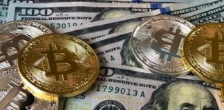 In Australia piattaforme e polizia contro le truffe cripto