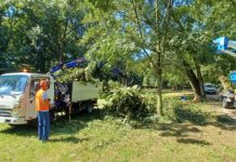 Maltempo a Vicenza, due giorni di interventi di Amcps per rimuovere piante e rami divelti dal vento Amcps interventi maltempo