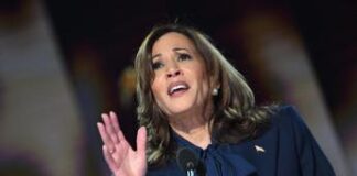 Kamala Harris ai suoi: “Siamo gli underdog ma vinceremo” Kamala Harris ai suoi: "Siamo gli underdog ma vinceremo"