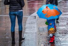Maltempo, allerta meteo arancione oggi in Campania, Calabria, Puglia e Sicilia. L’elenco delle scuole chiuse
