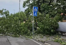 Maltempo, scatta l’allerta gialla per temporali a Vicenza. Attenzione fino a giovedì 21 agosto. Attivata la centrale operativa della polizia locale Maltempo su Vicenza