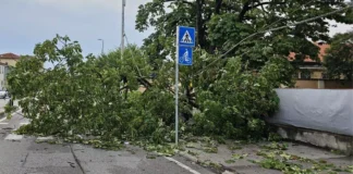Ondata di maltempo su Vicenza, con raffiche di vento e forte pioggia Immediati gli interventi di polizia locale, protezione civile, AMCPS e V-Reti Maltempo su Vicenza