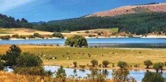 Montagna: torna ‘Fattorie aperte in Sila’, natura e relax tra i boschi in Calabria con visite 4.0