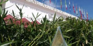 Mostra del Cinema di Venezia 2024, torna il Green Drop Award Mostra del Cinema di Venezia 2024, torna il Green Drop Award
