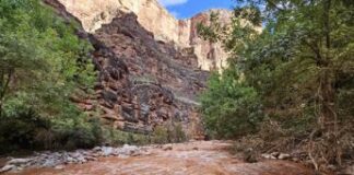 Paura al Grand Canyon per inondazioni improvvise, oltre 100 persone evacuate – Video